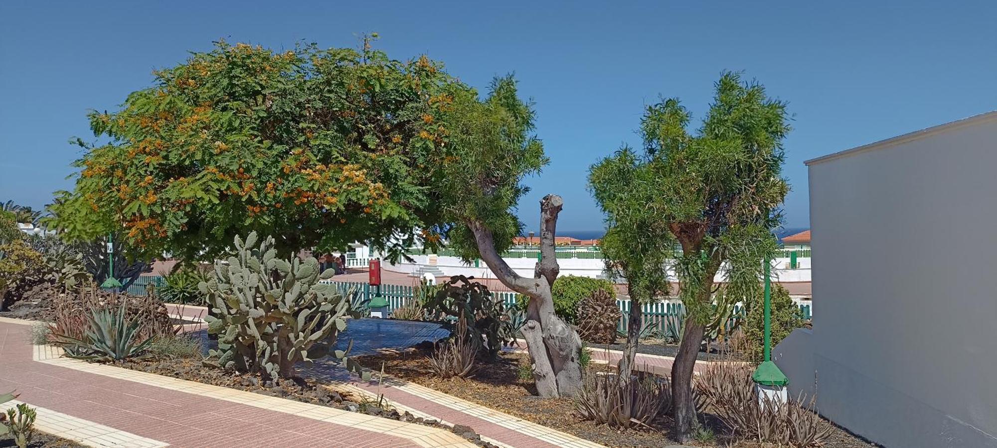 Вилла Casa Gioeli Cocosol Коста-де-Антигуа Экстерьер фото